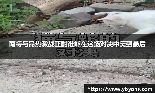 JJB竞技宝